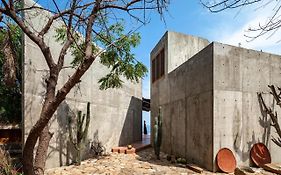 Villa Casa Del Sapo Yolina  México